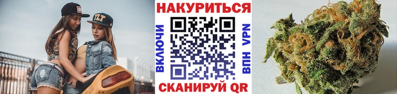 Альфа ПВП Магадан