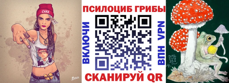 Галлюциногенные грибы Psilocybine cubensis Магадан