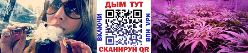 Конопля OG Kush  купить наркотики цена  Магадан 